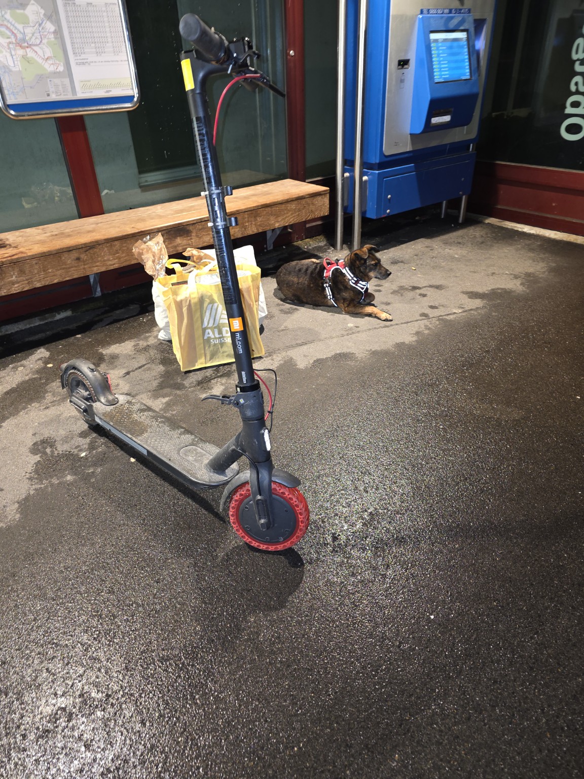 Gestohlener Xiaomi Mi Electric Scooter Pro 2 – roter Vorderreifen